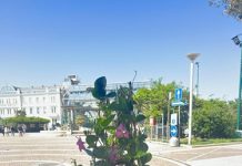 Manutenzione del verde pubblico, Cattolica si prepara alla Pasqua tra fioriture, sfalci e sistemazione di parchi, giardini, aiuole