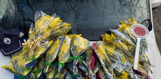 Commercio abusivo di fiori per l’8 marzo, la Polizia Locale sequestra 70 mazzi di mimose