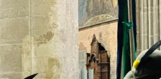 Giornata in memoria delle vittime della pandemia, il tributo di Piacenza