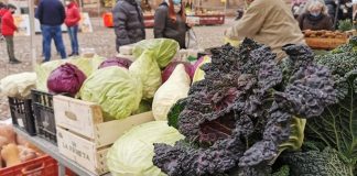 Mercato “Castellina KM Zero” con appuntamento ogni sabato mattina