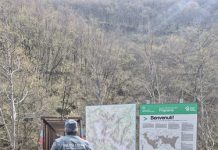Provincia di Modena: pesca in montagna, effettuati oltre 40 controlli