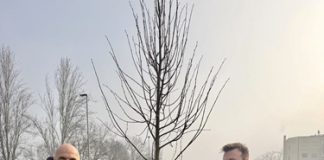 Forestazione urbana: a Villa Fulvia nasce un nuovo parco realizzato con il contributo di privati