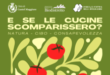 Il 12 aprile a Castel Maggiore una intera giornata sul cibo e arriva la Green Food Week 2026