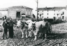 “C’era una volta, il lavoro. Memoria di botteghe, campi ed officine” prorogata sino al 15 di aprile