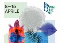 Giornata del mare, cultura e cammini: il programma del weekend a Rimini