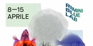 Giornata del mare, cultura e cammini: il programma del weekend a Rimini