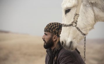 ABELE di Fabian Volti il 15 aprile al cinema Modernissimo di Bologna