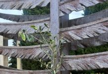 Un ramoscello di Pasqua all’ingresso dei cimiteri di Cesena, gli auguri dell’Amministrazione comunale (FOTO)