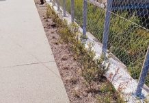 Atto vandalico sul nuovo lungomare