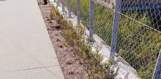 Atto vandalico sul nuovo lungomare