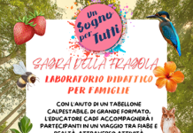 Un evento per educare alla sostenibilità grandi e piccini con CADF La Fabbrica dell’Acqua