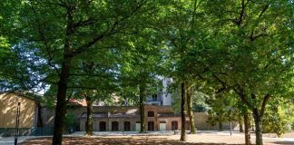 Brian Eno a Parma: mostra “My Light Years” e installazione immersiva “Seed”