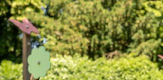 Condividere la genitorialità – un avviso pubblico per Enti del Terzo Settore a Castel Maggiore
