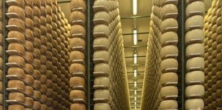 Caseifici Aperti, a Parma2064 il Parmigiano Reggiano dalla stalla alla tavola