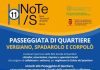 Le Reti Sociali di Quartiere in cammino