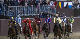 Palio di Ferrara 2026: le modifiche al traffico per le prove dei cavalli, il corteo storico e le gare in piazza Ariostea