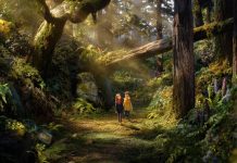 Cinema: Online il trailer di “WILDWOOD – I segreti del bosco proibito” al cinema dal 22 ottobre