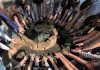 Maratona della Biodiversità: a Ferrara studenti in azione con la Citizen Science
