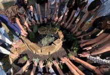 Maratona della Biodiversità: a Ferrara studenti in azione con la Citizen Science