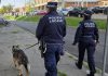 Incastrato dal cappellino: 32enne denunciato dalla Polizia Locale