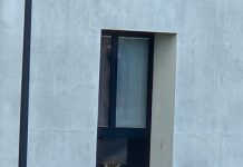 Capriolo in pieno centro a Forlì, l’intervento della Polizia provinciale per il recupero (FOTO)