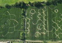 “Il viaggio dell’eroe – l’inganno”