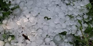 Grandine, danni gravissimi tra Copparo e Riva del Po