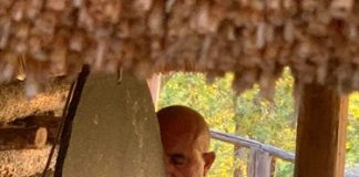 Al Labirinto Effimero di Alfonsine un viaggio tra mito, suono e memoria