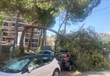 Maltempo a Riccione: Polizia locale e Hera in azione, attivato il piano straordinario di pulizia dopo le forti raffiche della notte