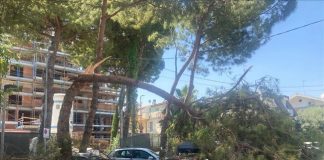 Maltempo a Riccione: Polizia locale e Hera in azione, attivato il piano straordinario di pulizia dopo le forti raffiche della notte