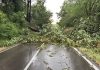 Temporale sul parmense: il punto della situazione in Provincia