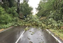 Temporale sul parmense: il punto della situazione in Provincia