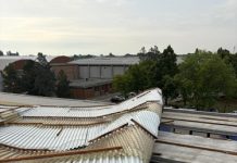 Grandine e nubifragi, drammatico bilancio nei campi delle cooperative romagnole
