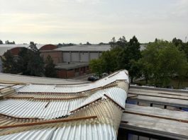 Grandine e nubifragi, drammatico bilancio nei campi delle cooperative romagnole