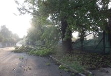 Maltempo: danni gravi per il Cimitero di Finale Emilia