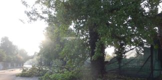 Maltempo: danni gravi per il Cimitero di Finale Emilia