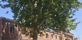 Diritto allo studio: con la consegna delle chiavi, il Comune di Rimini prende in carico il nuovo studentato dell’ex Corderia di Viserba