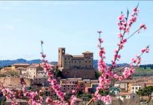 A SPASS – Proseguono le experience alla scoperta della Romagna più autentica