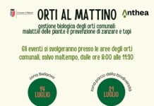 Parte “Orti al mattino”: a Rimini lezioni a cielo aperto per prendersi cura del verde, dell’ambiente e della salute