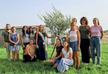 Anche Ferrara si mobilita per la piccola Beatrice: un ulivo per non dimenticare