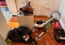 Lascia il cane da solo in casa per tre giorni senza acqua e cibo