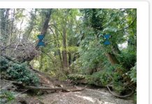 Regione: Difesa del suolo