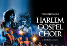 HARLEM GOSPEL CHOIR il 20 dicembre 2026 all’Auditorium Paganini (PR)