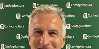 Bovini, il caldo mette sotto pressione le stalle