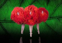Teatro Diego Fabbri, Forlì: prevendite in corso per i grandi eventi “Fuori Abbonamento” della Stagione 2026/27