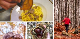 Cinque feste, cinque paesi: l’autunno in Alta Val Taro e Val Ceno profuma di bosco
