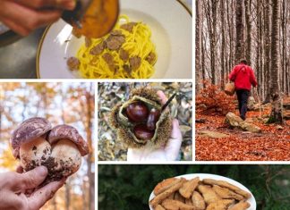 Cinque feste, cinque paesi: l’autunno in Alta Val Taro e Val Ceno profuma di bosco