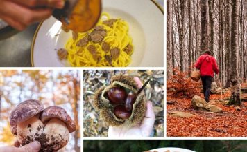 Cinque feste, cinque paesi: l’autunno in Alta Val Taro e Val Ceno profuma di bosco