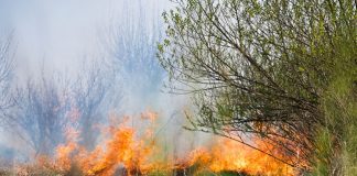 Rischio incendi boschivi, la fase di preallarme prorogata fino a domenica 16 agosto sull’intero territorio comunale (FOTO)