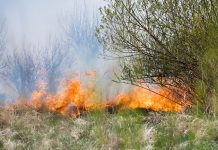 Rischio incendi boschivi, sul territorio comunale di Cesena scatta la fase di preallarme fino al 9 agosto (FOTO)
